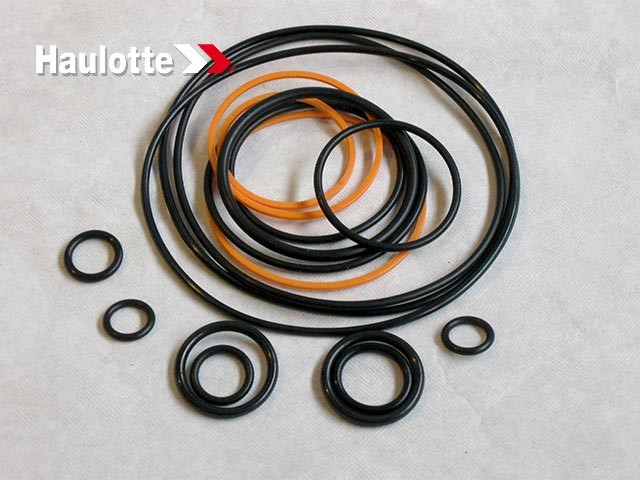HAULOTTE 2421693110
