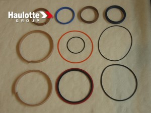 HAULOTTE 2505008650